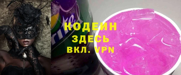 молекула духа Богородицк