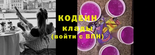 гашик Богданович