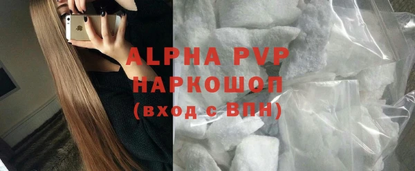 гашик Богданович