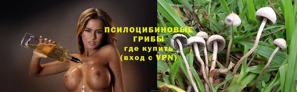 молекула духа Богородицк