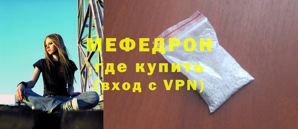 молекула духа Богородицк