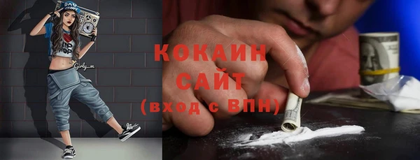 молекула духа Богородицк