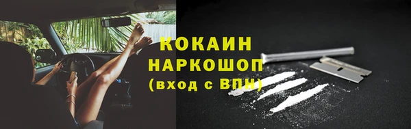 молекула духа Богородицк