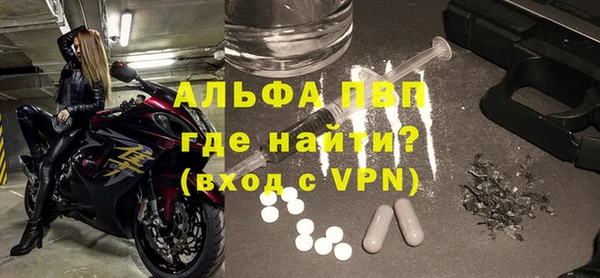 гашик Богданович