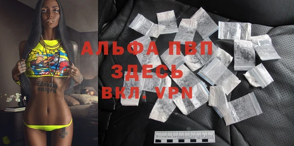 молекула духа Богородицк