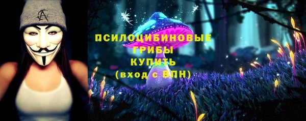 молекула духа Богородицк