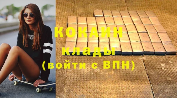гашик Богданович