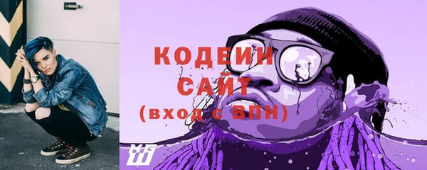 гашик Богданович