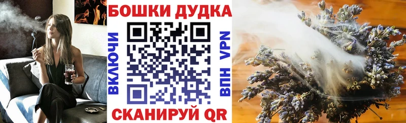 Конопля OG Kush  как найти закладки  Новокузнецк 